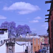  San Miguel de Allende, Mexico 2009